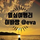 디엠지스테이 이미지