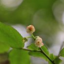 김선생안경 이미지