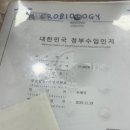 영도병원 | 부산 영도병원 황열병 예방접종 후기 | 사전예약, 정부수입인지 가격, 아프리카 여행 준비