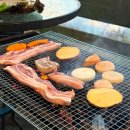 문경새재반려동물힐링센터(젠틀펫파라다이스) | 애견동반여행 문경미식캠핑 2일차 바베큐 불멍 프리스비 공연
