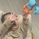 덤브치킨 이미지