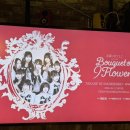 카페모모코 | 26. 4. 12. 타카네노 나데시코 高領のなでしこ Live Tour - Bouquet of 9 Flowers - in Seoul 내한 후기
