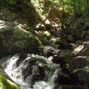 당정골계곡 이미지