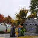 화명수목원관리사업소 이미지