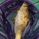 배양낚시터 이미지