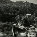 한국천기권 이미지