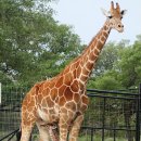 영훈 농장 이미지