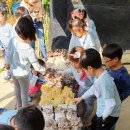 배꽃어린이집 이미지