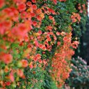 한강화장실 뚝섬16 화장실 이미지