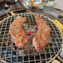 돗배갈매기 이미지