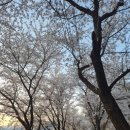 자라목공원 이미지