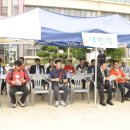 산호초등학교 이미지