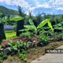 신명순 농장 이미지