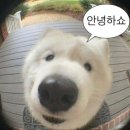 으싸라으싸 | SSG랜더스필드 원정응원석 어질어질 후기
