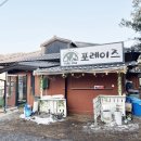 포레이즈 이미지