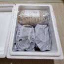 홍진청과 | [수제 과일청] 상큼한 수제 과일청이 맛있는 달콤마녀 수제청!