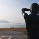 외도펠리스 이미지