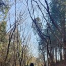 너릿재식당 이미지