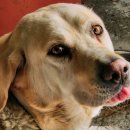 미미관마라탕(하양점) 이미지