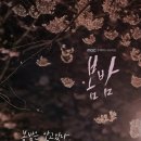 봄밤 이미지