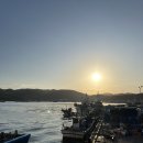 양포한방백숙 이미지