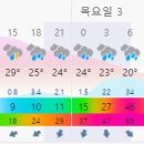 가항국제 이미지