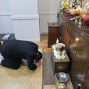괴정병원장례식장 실속형 가족장 진행 후기