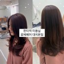 [서울] 한티역 미용실 꿈체헤어 대치본점 뿌리염색 후기