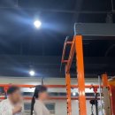 바디트레이닝미 이미지