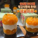 시루정보_스마트로비 | 【대전 빵지순례】 성심당 DCC점 평일 방문 후기! 망고시루 시즌종료 생귤시루 영접 & 시그니처 빵 추천