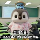 (주)청솔종합관리 | 썸머스쿨, 평촌청솔과 함께 해야하는 이유