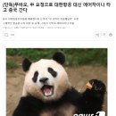 [단독]&#39;용인 푸씨&#39; 푸바오, 대한항공 대신 중국국적기 타고 중국 간다 이미지