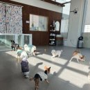 강아지의 하루 | 🎾 공놀이 천재 강아지의 하루, 두정동애견유치원 프찌 후기 🐶