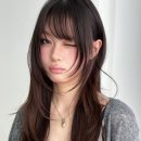다연컨설팅