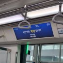 어신2리섯밭경로당 | 3박 4일 중국 상하이 여행기 1탄