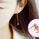 댕댕이샵 이미지