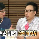트래픽 이미지
