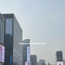 김일중 | [육아] 곧 돌인 11개월 아기랑 2026 서울 유아차 런 8km 거북이반 첫 참가 및 완주 후기