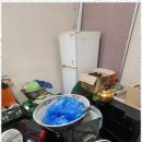 마음의집 | 쓰레기집 마음의 짐을 함께 덜어드리는 곳, 다처리 후기