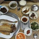 고흥 여수 레쓰고