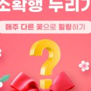 필;꽃