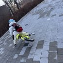 진주숲어린이집 | 진주의 유치원 적응기