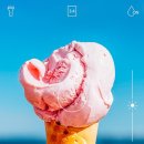 성신카메라 네이버블로그