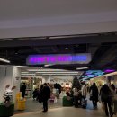 키네틱 | 주토피아2 잠실 팝업 키네틱스테이지 그라운드 방문 후기｜굿즈 구성·포토존·이벤트까지 정리