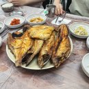 테라생선구이 이미지
