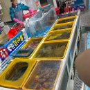 [경남 강아지동반 숙소] 사천 남일대리조트 / 삼천포 / 바다뷰 / 용궁수산시장 🐻