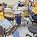 펫기사(행복나눔365) | 하나님의 교회가 전하는 새해 ‘희망’ 연하장 - 스포츠 동아