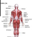 다운스윙 ㅡ 압축으로 눌러치기 이미지