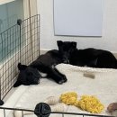 [03.17 - 03.23] 미친 세상에서 살아남는 건 미친 사람뿐일 거야