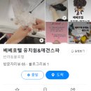 베베호텔 유치원 & 애견스파 이미지